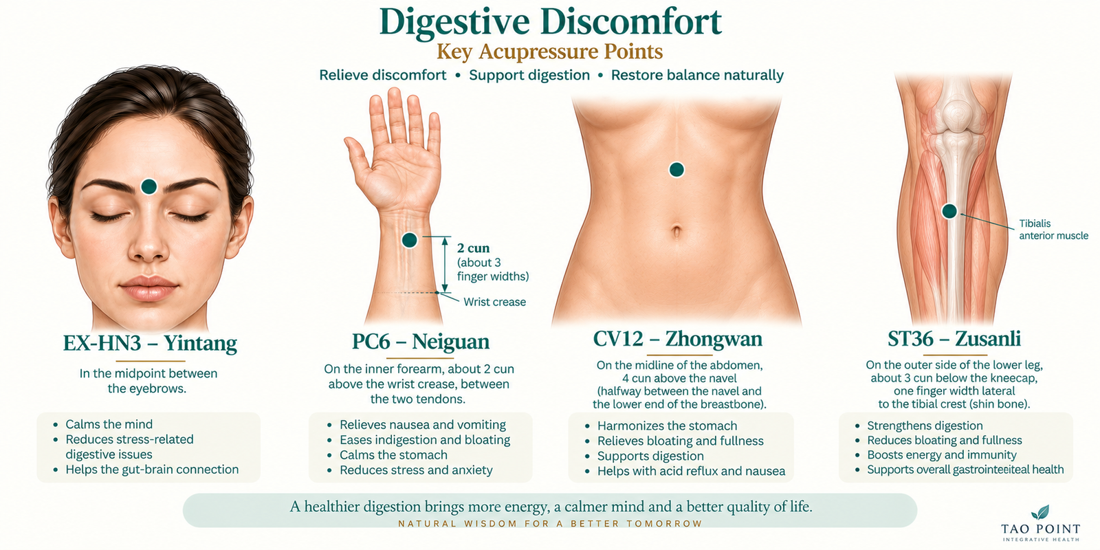 Visual guide showing Yintang, PC6 Neiguan, CV12 Zhongwan and ST36 Zusanli for digestive discomfort.